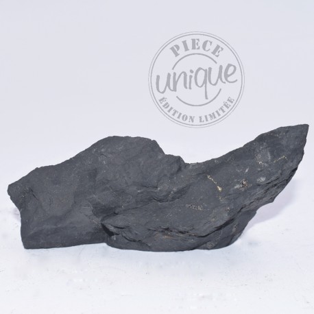 Shungite brute 10
