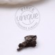 Météorite Fragment 1