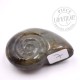 Labradorite taillée façon ammonite 7
