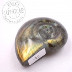 Labradorite taillée façon ammonite 7