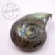 Labradorite taillée façon ammonite 9