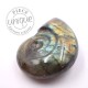 Labradorite taillée façon ammonite 9