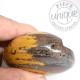 Jaspe orbicular piedra pulida 8