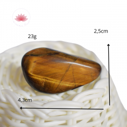 Oeil de Tigre pierre roulée 11