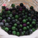 Rubis sur zoïsite naturelle perles 6mm prix dégressifs