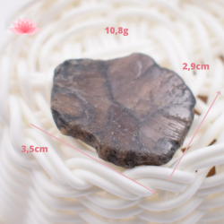 Chiastolite petite plaque 2