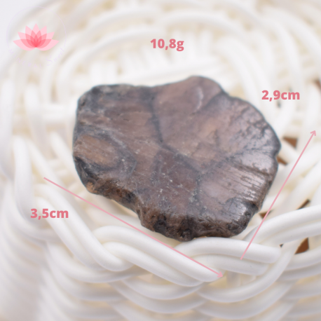 Chiastolite petite plaque 2