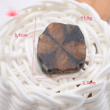 Chiastolite petite plaque 3