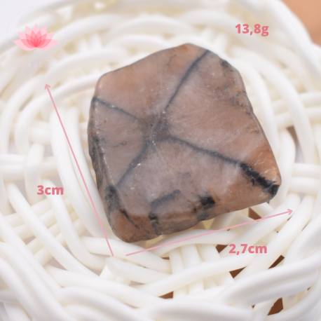 Chiastolite petite plaque 4