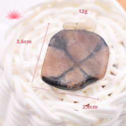 Chiastolite petite plaque 6