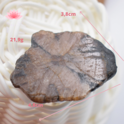 Chiastolite grande plaque 1