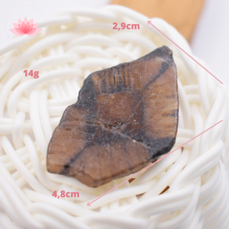 Chiastolite grande plaque 2