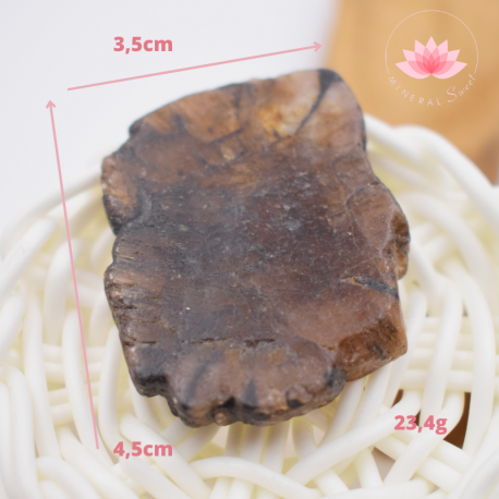 Chiastolite grande plaque 3