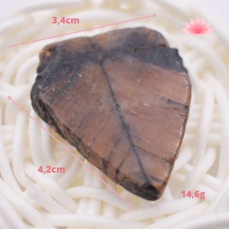 Chiastolite grande plaque 4