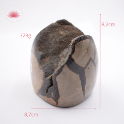 Septaria salvaje forma libre 3