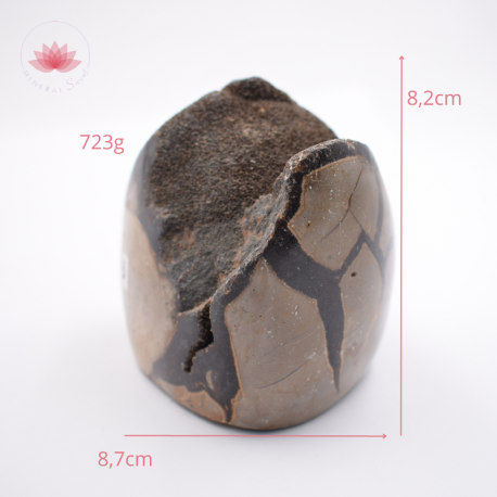 Septaria sauvage forme libre  3