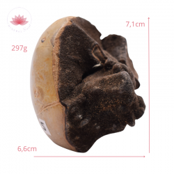 Septaria  sauvage forme libre 5