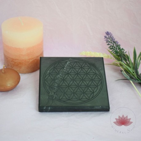 Plaque de Purification et Vivification