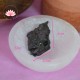 Shungite cristal silver 1