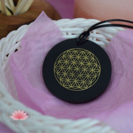 Pendentif Shungite Fleur de vie