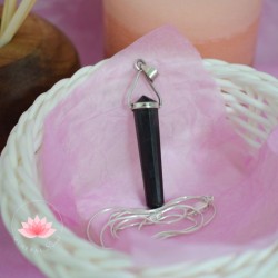 Pendentif Shungite Biterminé 2