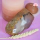 Agate Tranche 26
